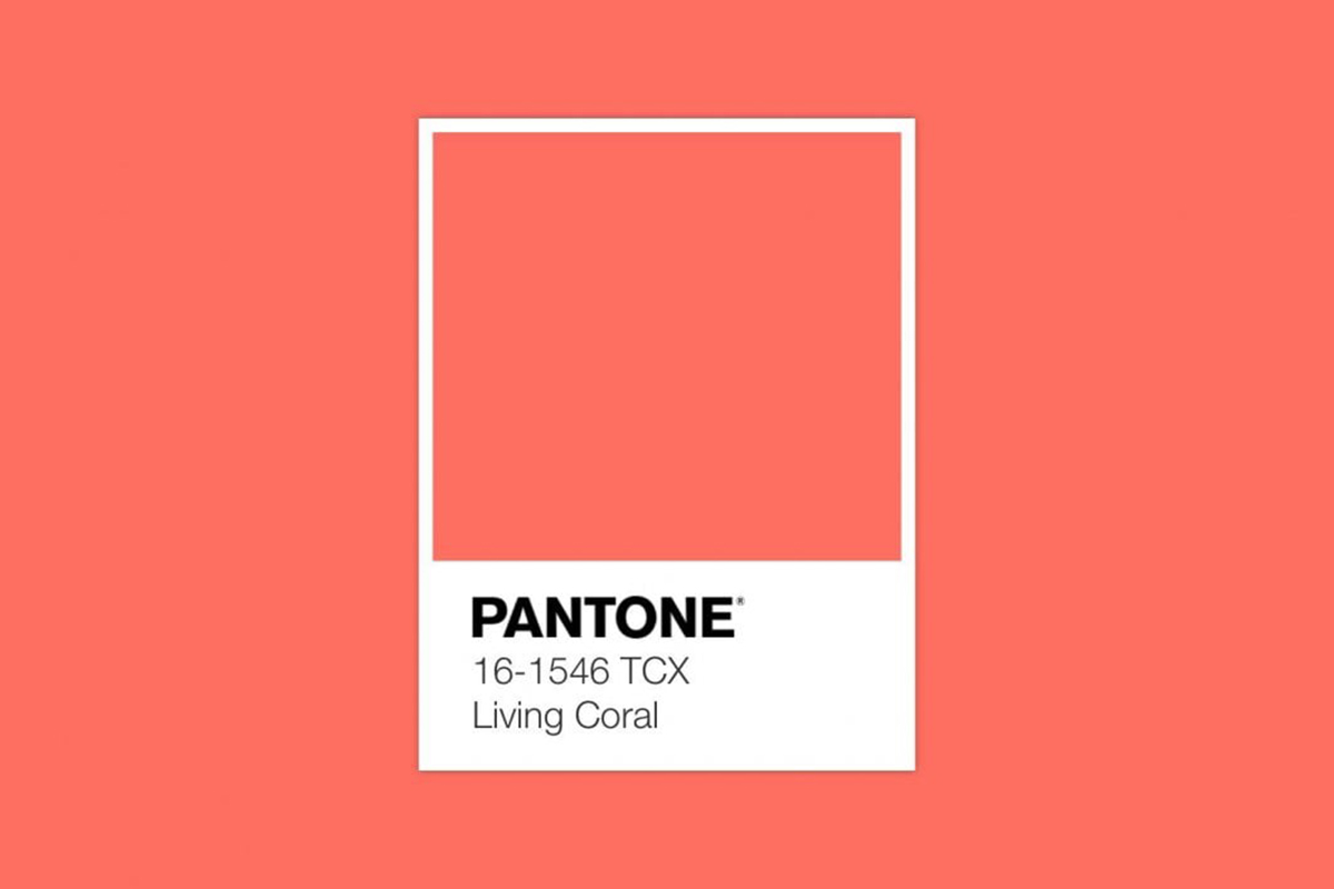 A colour for 2019 ... Living Coral